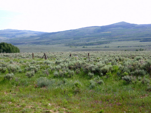 Leaving the Alpine for High Chaparral .